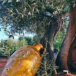 La Maison One 4* Carovigno