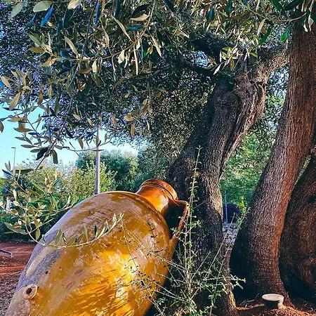 La Maison One 4* 卡洛维诺