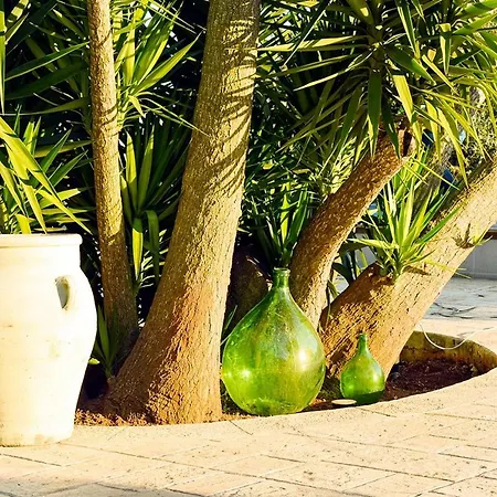 La Maison One 卡洛维诺