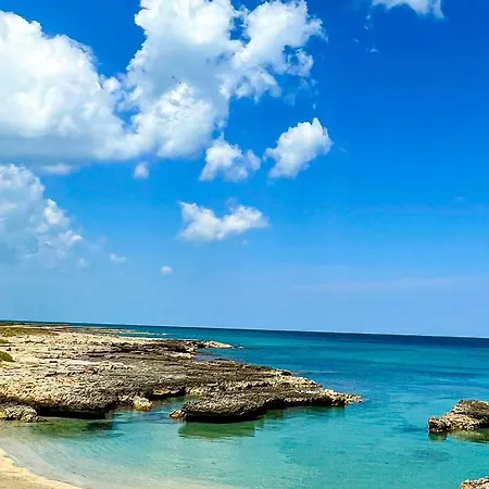 住宿加早餐酒店 La Maison One 卡洛维诺