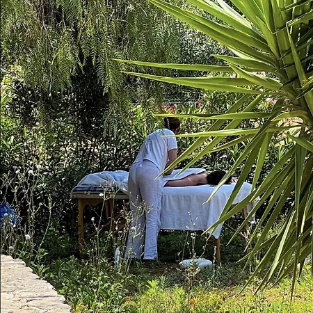 La Maison One 住宿加早餐酒店 4*