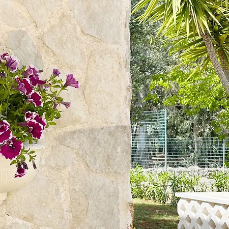 Bed and breakfast La Maison One