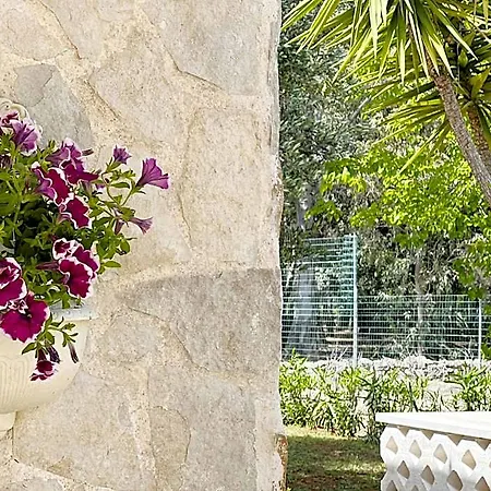 Bed & Breakfast La Maison One B&B Carovigno